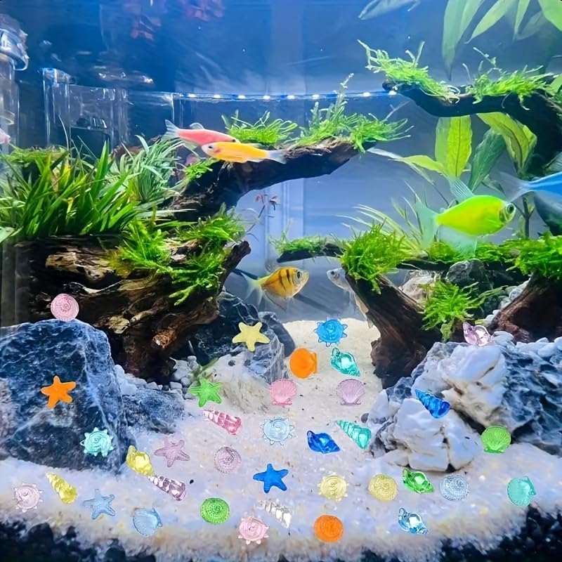 30Pcs Colorful Acrylic Sea Shells and Starfish for Vase Filler, Mixed Transparent Resin Seashells for Beach Theme Party Decoration, Fish Tank Ornaments, DIY Crafts & Table Scatter