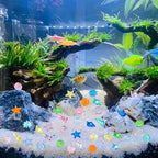 30Pcs Colorful Acrylic Sea Shells and Starfish for Vase Filler, Mixed Transparent Resin Seashells for Beach Theme Party Decoration, Fish Tank Ornaments, DIY Crafts & Table Scatter