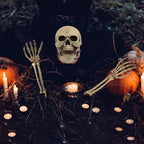 yosager Realistic Skull and Skeleton Arms Stakes, Indoor Outdoor Graveyard Best Halloween Yard Decorations