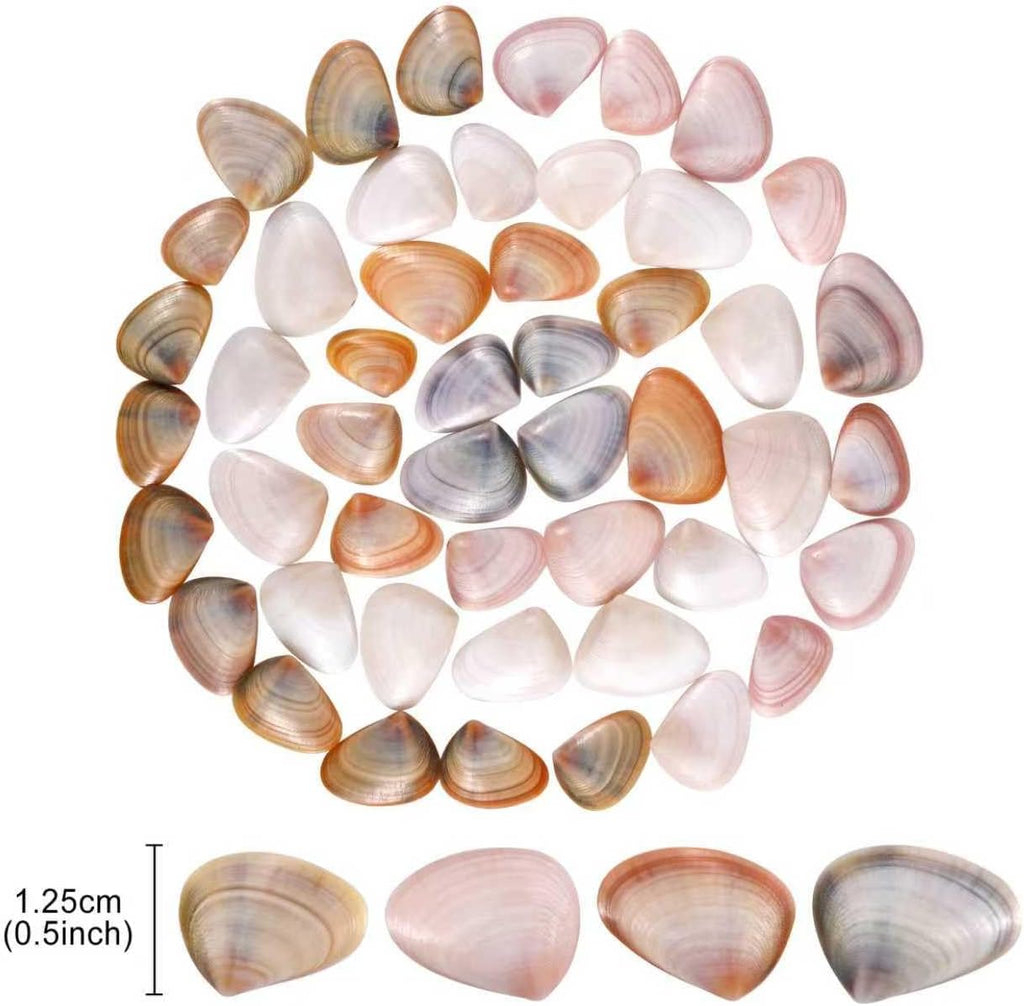 PPCLION 50pcs Tiny Strarfish&2000Pcs Tiny Mini Small Clam Sea Shells for Crafting Spiral for Crafts Charms Home Decorations Candle Decor DIY Fish Tank and Beach Vase Filler