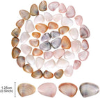 PPCLION 50pcs Tiny Strarfish&2000Pcs Tiny Mini Small Clam Sea Shells for Crafting Spiral for Crafts Charms Home Decorations Candle Decor DIY Fish Tank and Beach Vase Filler