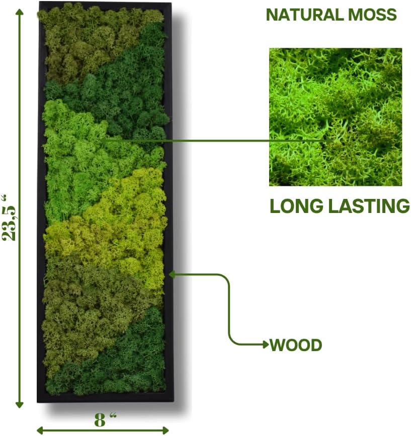 yersiz Large Moss Pattern Wall Art, Real Moss Wall Art for Living Room & Bedroom, Set of 2 Vintage Wall Panels for Interior Wall Decor, Bathroom & Home Decor, Eco-Friendly Natural Green Wall Decor