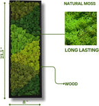 yersiz Large Moss Pattern Wall Art, Real Moss Wall Art for Living Room & Bedroom, Set of 2 Vintage Wall Panels for Interior Wall Decor, Bathroom & Home Decor, Eco-Friendly Natural Green Wall Decor