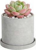 Ekirlin 6 Inch Indoor Plant Pot, Natural Cement Grey Garden Planters, Outdoor Concrete Flower Plant Pots with Drain Hole Saucer Tray, Modern Succulents Containers for Home Decor & Garden Plants