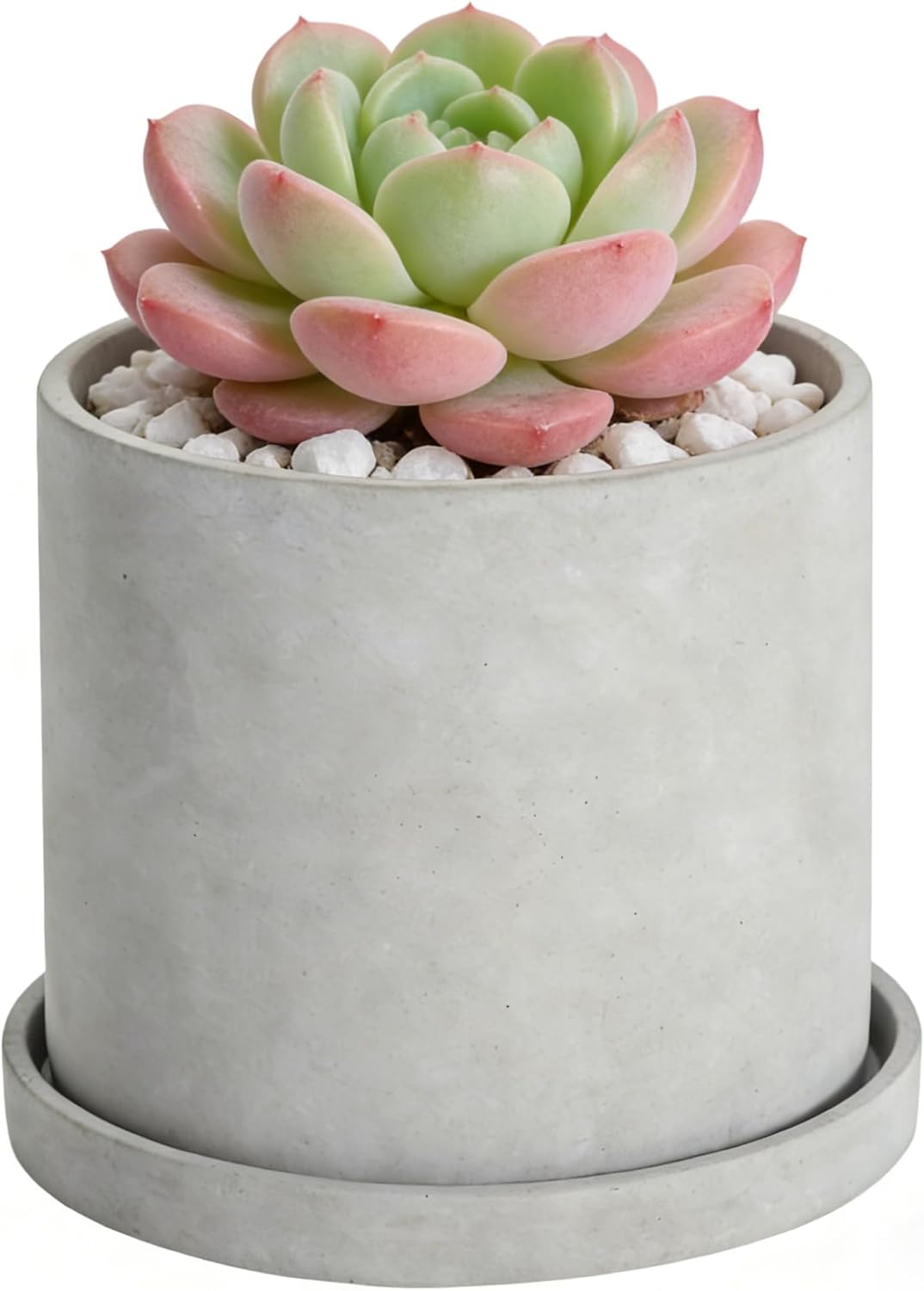 Ekirlin 6 Inch Indoor Plant Pot, Natural Cement Grey Garden Planters, Outdoor Concrete Flower Plant Pots with Drain Hole Saucer Tray, Modern Succulents Containers for Home Decor & Garden Plants