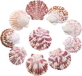 LUCKY BABY 50 PCS Natural Scallop Seashells for Crafts, 2"-3" Bulk Shells for DIY Art, Resin Projects, Candle Soap Jewelry Making, Beach Wedding Decor, Coastal Home Decoration, Nautical Party Supplies