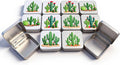 Goodma 12 Pieces Square Metal Empty Tins with Hinged Lid | Home Storage Containers Organizer, Mini Box, Cactus Image, 2.76x2.76x0.79 inch, 2 Colors Assorted