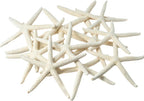 Starfish Decor - Star Fish for Craft - 15pk Uniquely Shaped 2-5" White Real Sea Stars - Beach Wedding Decor - Coastal Party Decorations - Seashell Decor - Shells for Crafts - Nautical Décor
