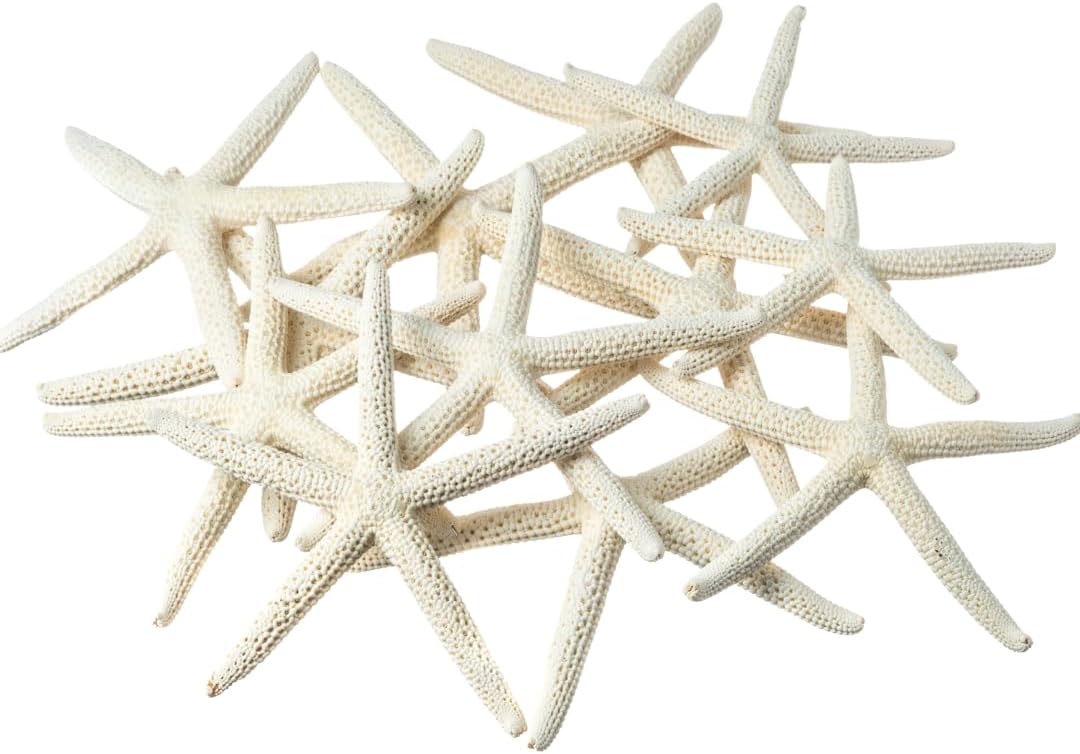 Starfish Decor - Star Fish for Craft - 15pk Uniquely Shaped 2-5" White Real Sea Stars - Beach Wedding Decor - Coastal Party Decorations - Seashell Decor - Shells for Crafts - Nautical Décor