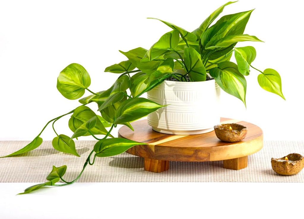 Kurrajong Farmhouse Dark Green Fake pothos | Fake Plant for Shelf Decor | Artificial Trailing Ivy Plant with 5" Wide Ceramic Pot | Faux pothos | Feaux Pothos | Bathroom and Kitchen Decor