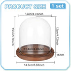 BENECREAT 5.5x5inch Eternal Transparent Flower Glass Cover, Cloche Dome Micro Landscape with Solid Wood Base for DIY Flower Craft, Wedding Decorations