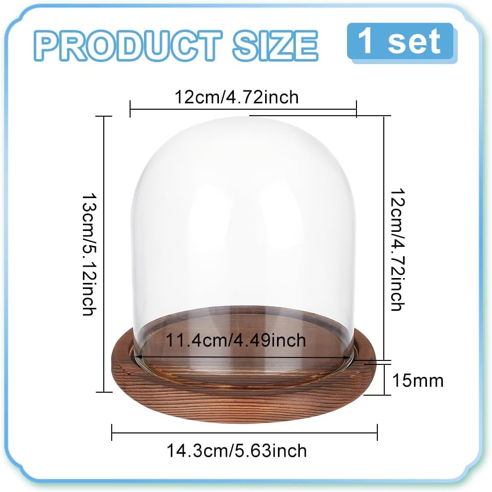 BENECREAT 5.5x5inch Eternal Transparent Flower Glass Cover, Cloche Dome Micro Landscape with Solid Wood Base for DIY Flower Craft, Wedding Decorations