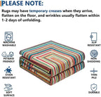 Multicolor Washable Outdoor Rug 8' x 10', Colorful, Stain Resistant, Easy Clean, Waterproof, Durable Area Rug for Outdoor Patio, Deck, Porch, Entryway, Foyer