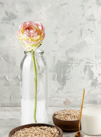 Serene Spaces Living Set of 6 Clear Glass Bud Vases – Ideal for Centerpieces at Weddings and Events – 6.25” Tall & 2” Diameter – Elegant Flower Vases for Home Decor (Pack of 2)