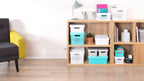 Curver 04760-N23-00 Infinity Storage Box Infinity Gepunktet 10,55x7,32x4,88in in White