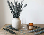 10 PCS Dried Eucalyptus Stems for Shower 15-16" Real Leaves Branches for Vase Filler, Home Bathroom Wedding Arrangement Decor, 100% Natural Fresh Greenery Hanging Preserved Eucalyptus Plant