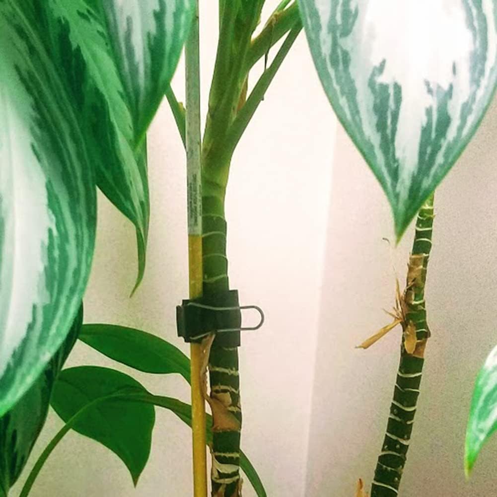 Reusable Garden & Cable Clips – Indoor/Outdoor Clamp Holders for Plants, Cords, Wires, String Lights, Trellis & Décor, Multi-Size 12 Green Pack (4 Small, 4 Medium, 4 Large)
