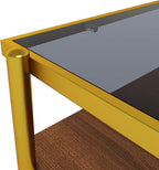 IANIYA Glass Coffee Table Modern Center Table,Small Coffee Table Sofa Side Tea Table for Living Room,Tempered Glass-top with Metal Frame