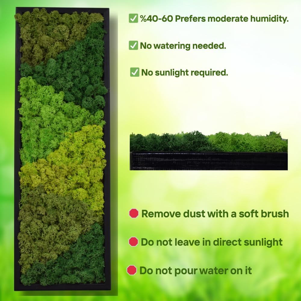 yersiz Large Moss Pattern Wall Art, Real Moss Wall Art for Living Room & Bedroom, Set of 2 Vintage Wall Panels for Interior Wall Decor, Bathroom & Home Decor, Eco-Friendly Natural Green Wall Decor
