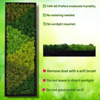 yersiz Large Moss Pattern Wall Art, Real Moss Wall Art for Living Room & Bedroom, Set of 2 Vintage Wall Panels for Interior Wall Decor, Bathroom & Home Decor, Eco-Friendly Natural Green Wall Decor