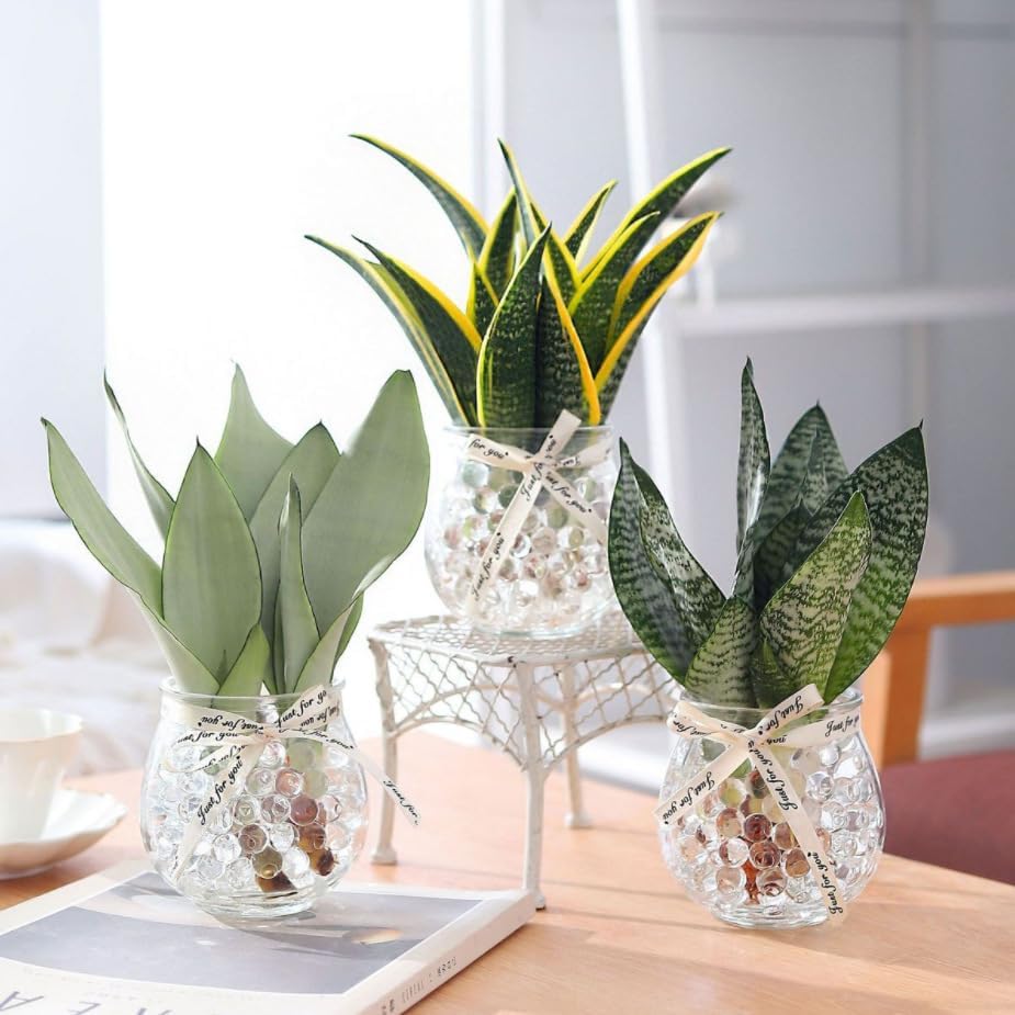 Decorative Crystals - Clear Filler for Wedding Centerpieces & Professional Event Decor