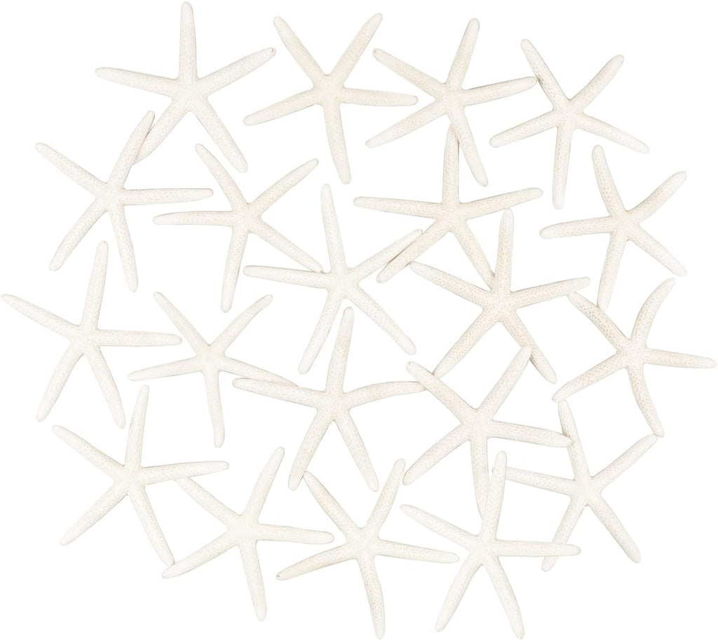 Jangostor 20 PCS Starfish, 2.5" to 4" Natural Seashells Starfish Star Fish Shells Decorations White Starfish Ornaments Perfect for Wedding Beach Theme Party Home Decorations, DIY Crafts, Fish Tank