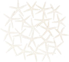 Jangostor 20 PCS Starfish, 2.5" to 4" Natural Seashells Starfish Star Fish Shells Decorations White Starfish Ornaments Perfect for Wedding Beach Theme Party Home Decorations, DIY Crafts, Fish Tank
