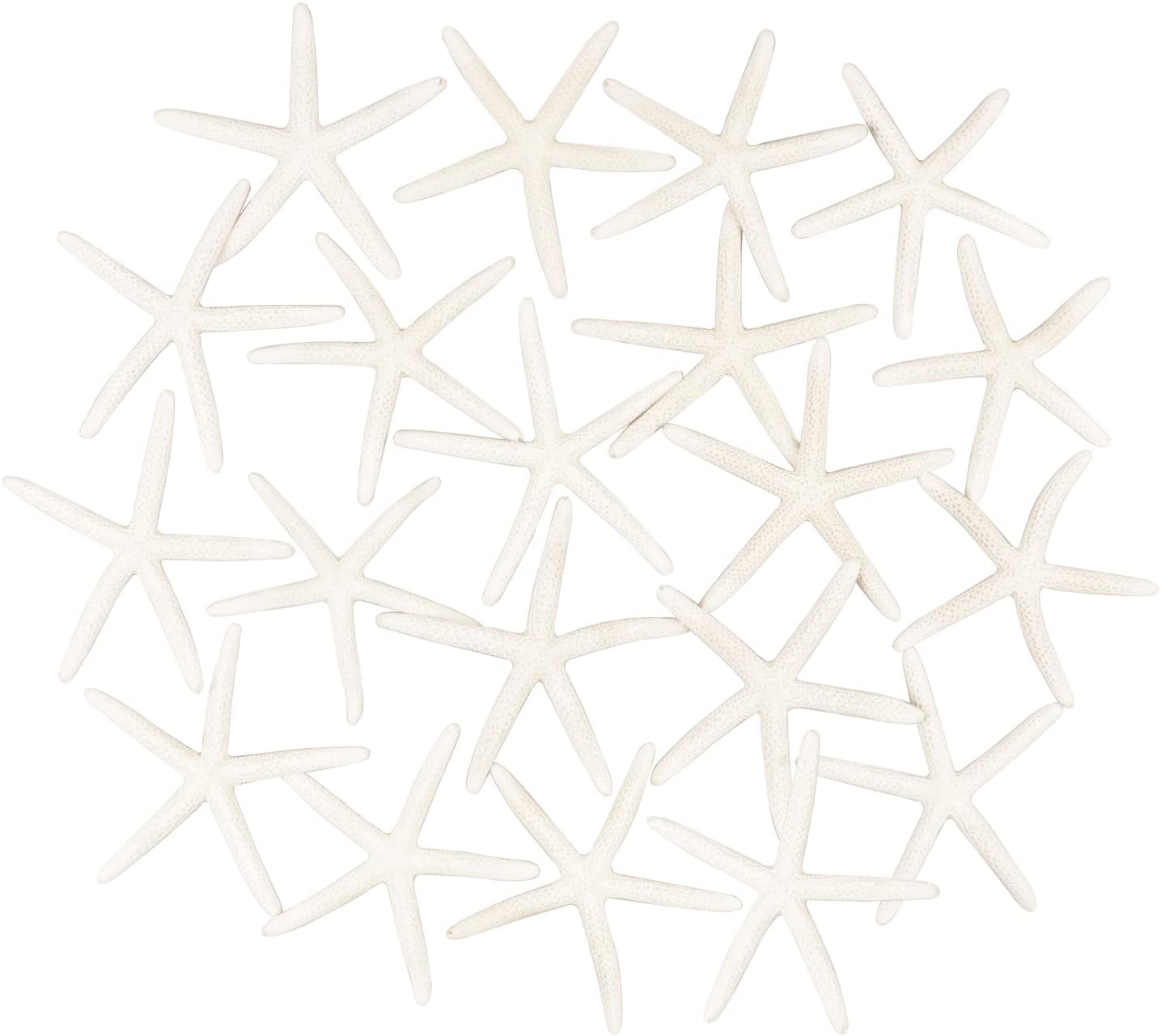 Jangostor 20 PCS Starfish, 2.5" to 4" Natural Seashells Starfish Star Fish Shells Decorations White Starfish Ornaments Perfect for Wedding Beach Theme Party Home Decorations, DIY Crafts, Fish Tank