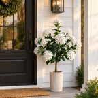 2Pack 3FT Artificial Hydrangea Trees, Faux Hydrangea Plants in Pot with White Flowers, Realistic Hydrangea Topiary Trees for Indoor Outdoor, Garden, Porch, Patio, Home Decor
