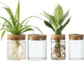 Glass Propagation Stations for Plants -Desktop Flower Vases,Propagation Flower Vases Set – 2 Large & 2 Small for Plant Cuttings，for Living Room, Bedroom Decoration,Home,Office Decor (4)