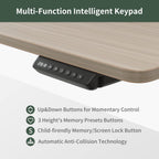 CubiCubi Standing Desk 55x26 Inches with 3 Wood Drawers and Monitor Shelf, Ergonomic Rising Home Office Desks, Height Adjustable Computer Desk, Sit Stand Up Electric Workstation Table, Pale Walnut