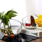 WGVI Clear Slant Cut Bowl Glass Vase, Glass Terrarium, Candy Dish, Glassware, Slant Open: 7". Height: 6" x 2.7". Base: 4" (1 Piece)
