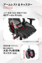 エーケーレーシング(Akracing) Pro-X V2 Gaming Chair, Grey