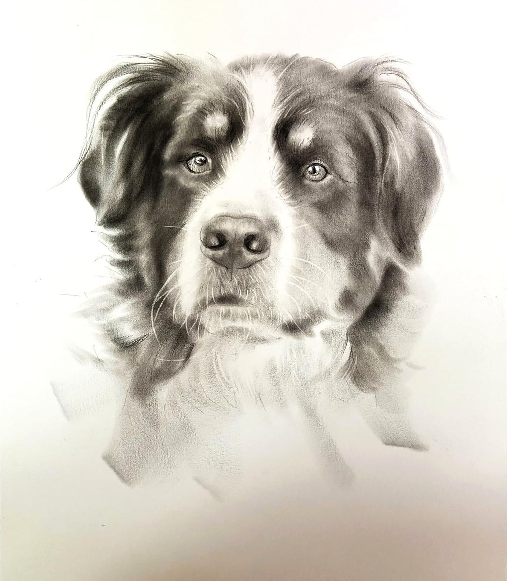 Custom Pet Portrait 100% Hand-Drawn charcoal Sketch from Photo,Pencil Drawing,Border cogg Pastel Personalized Dog or Cat Drawing,Unique Gift for Pet Lovers (8X10in Sketch 1)