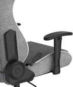 DXRacer Formula L Ergonomic Gaming Chair for Adults, Reclining Video Office Computer Gamer Chair with Lumbar Support and Headrest (Water-Resistant Fabric, Gray White)