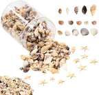 1200 Pieces Tiny Sea Shells Small Natural Starfish Mixed Ocean Beach Spiral Seashells for Home Decorations,Wedding Decor,Candle Making,Beach Theme Party,DIY Crafts and Vase Filler