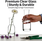 6 Inch Small Clear Glass Flower Vase, 6 Pack Ins Modern Boho Style Bud Vase for Table Centerpiece, Home Desk Decor, Wedding & Housewarming Gift