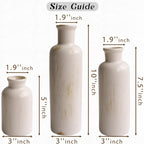 Pampas Grass with Vase Set – 3 Beige White Ceramic Vases with Natural Dried Pampas, Bunny Tails & More – Neutral Farmhouse Decor for Fireplace, Home, Mantel, Entryway, Kitchen & Boho Table Centerpiece