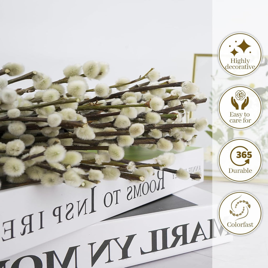 60 Stems 100% Natural 17 Inches Preserved Pussy Willow Flowers Pussy Willow Branches for Vases White Pussywillows for Festival Easter Wedding Home Party Hotel Fireplace Decor