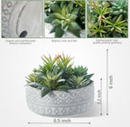 6inch Artificial Succulent Plants in Pots,Fake Succulents with Grey Textured Ceramic Pot for Home Office Desk Bathroom Coffee Table Decor