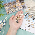 PH PandaHall Sea Shells, 466pcs 15 Style Spiral Shell Beads Undrilled Tiny Natural Sea Shell Ocean Spiral Seashells Miniature Shells for Resin Candle Party Wedding Decor Fish Tank Vase Filler, No Hole