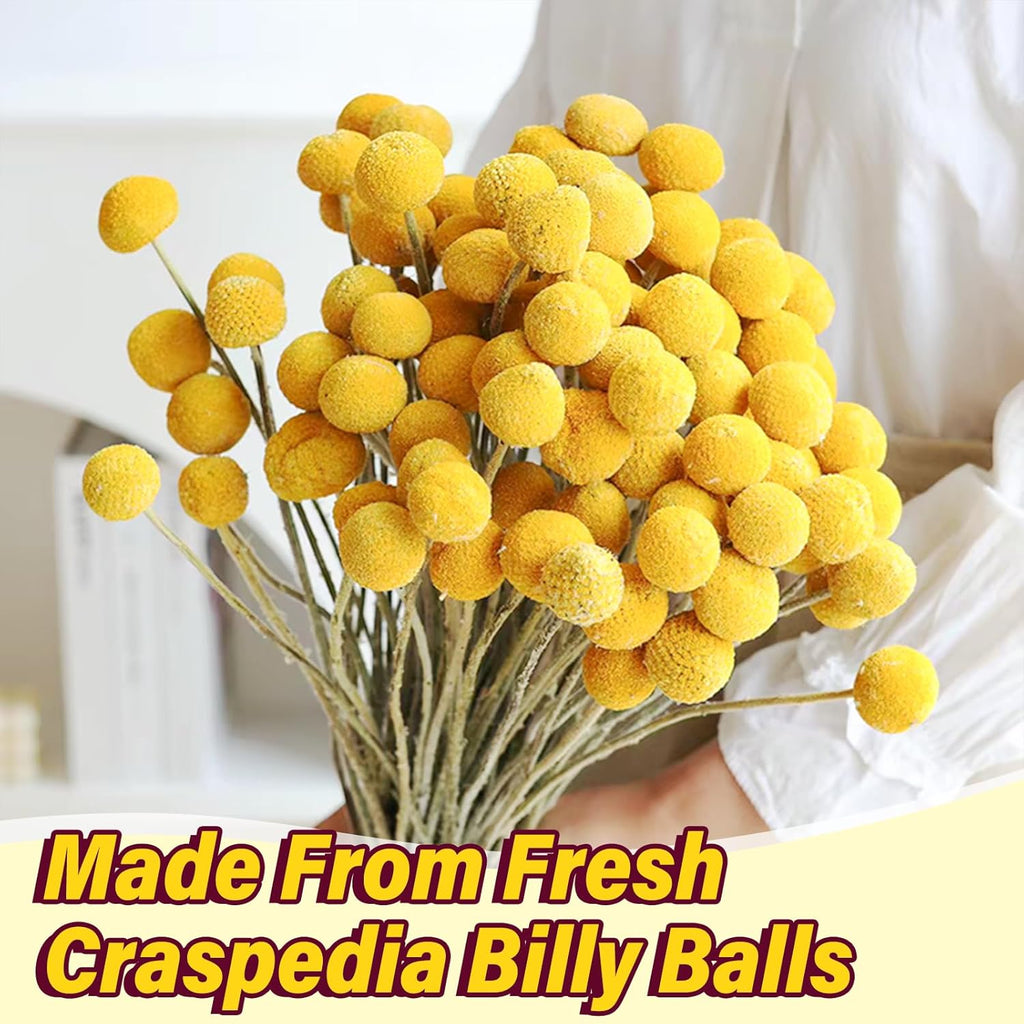40PCS Natural Dried Flowers Craspedia Billy Balls Flowers, Billy Buttons Floral Bouquet Bundles, Yellow Real Dry Plant for Flower Arrangements Wedding Home Tall Vase Decor