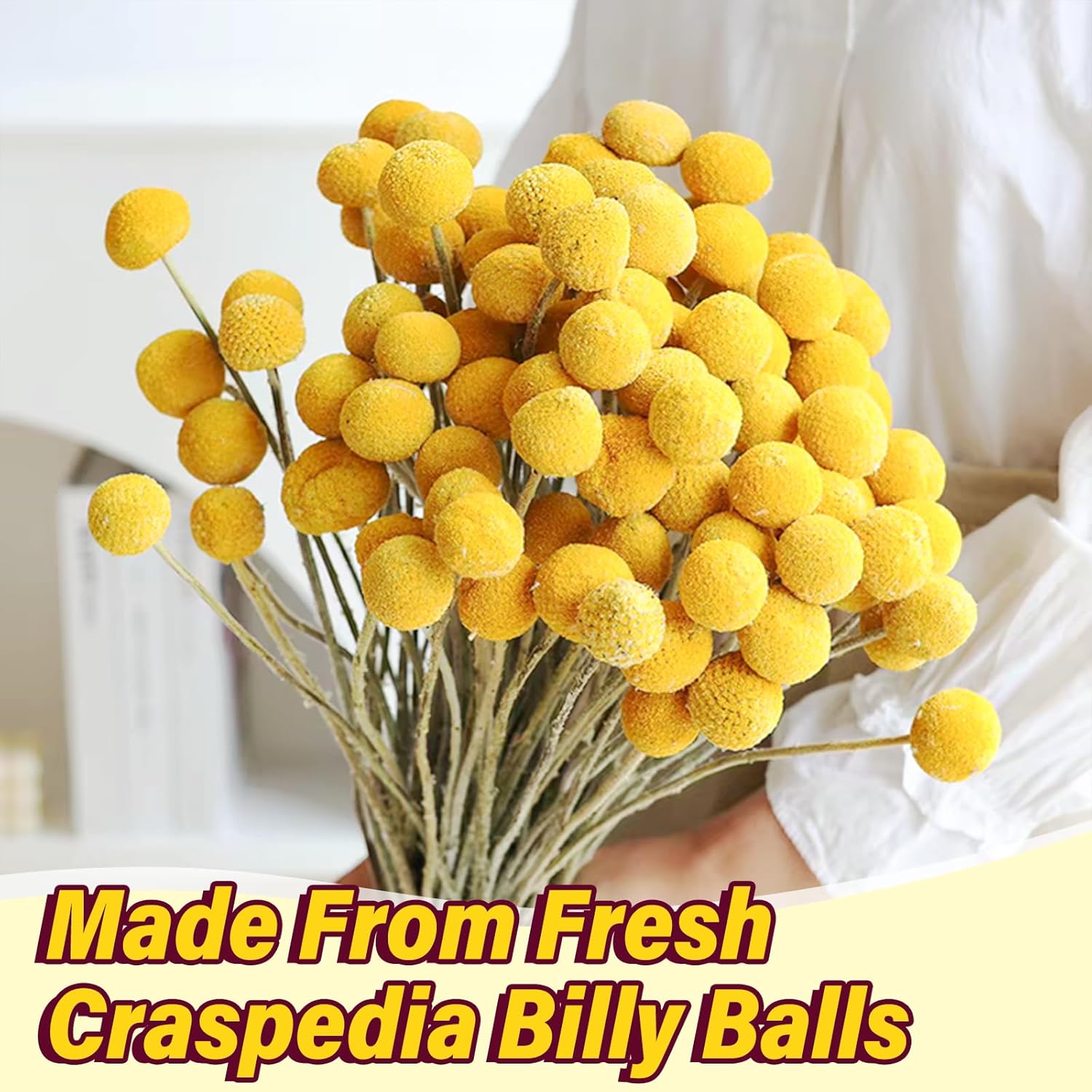 40PCS Natural Dried Flowers Craspedia Billy Balls Flowers, Billy Buttons Floral Bouquet Bundles, Yellow Real Dry Plant for Flower Arrangements Wedding Home Tall Vase Decor