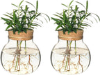Plant Propagation Station,Hydroponic Terrarium Vase,Desktop Glass Planter Station,for Houses,Garden Decorations,ropagating Hydroponic Plants,Centerpiece Office,Home Garden Decor (2)