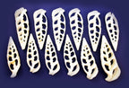 Bulk 50 Center Cut White Cerithium Shells Shells Seashells 1 1/2" - 2" Shellcraft Beach Crafts Nautical Decor Center Slices