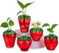 Glass Strawberry Propagation Vases for Plants: 5PCS Cute Strawberry Decor for Home Kitchen Bathroom Office - Unique Indoor Hydroponic Planters Gifts for Mom Women Mothers Day (Red)