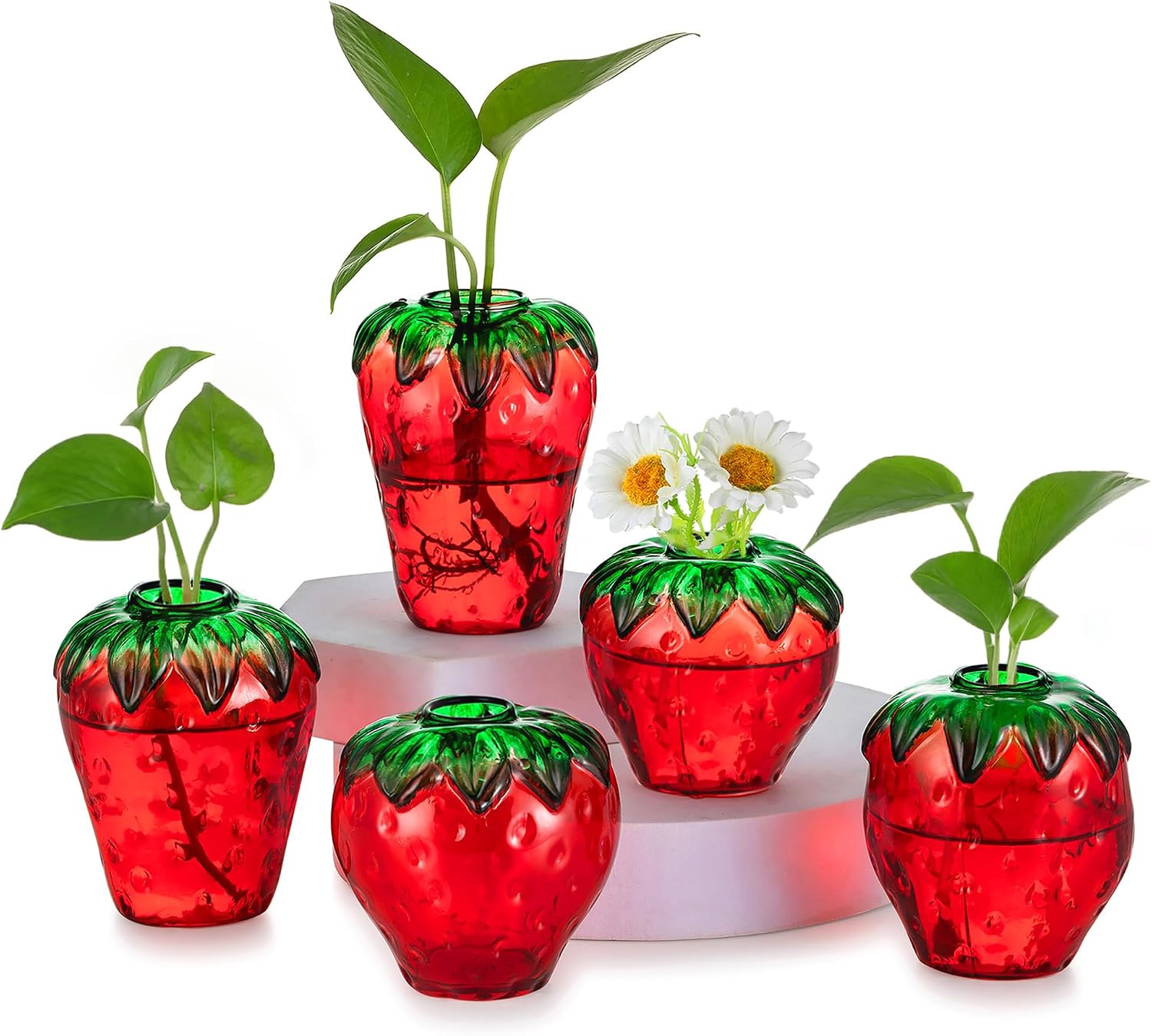 Glass Strawberry Propagation Vases for Plants: 5PCS Cute Strawberry Decor for Home Kitchen Bathroom Office - Unique Indoor Hydroponic Planters Gifts for Mom Women Mothers Day (Red)