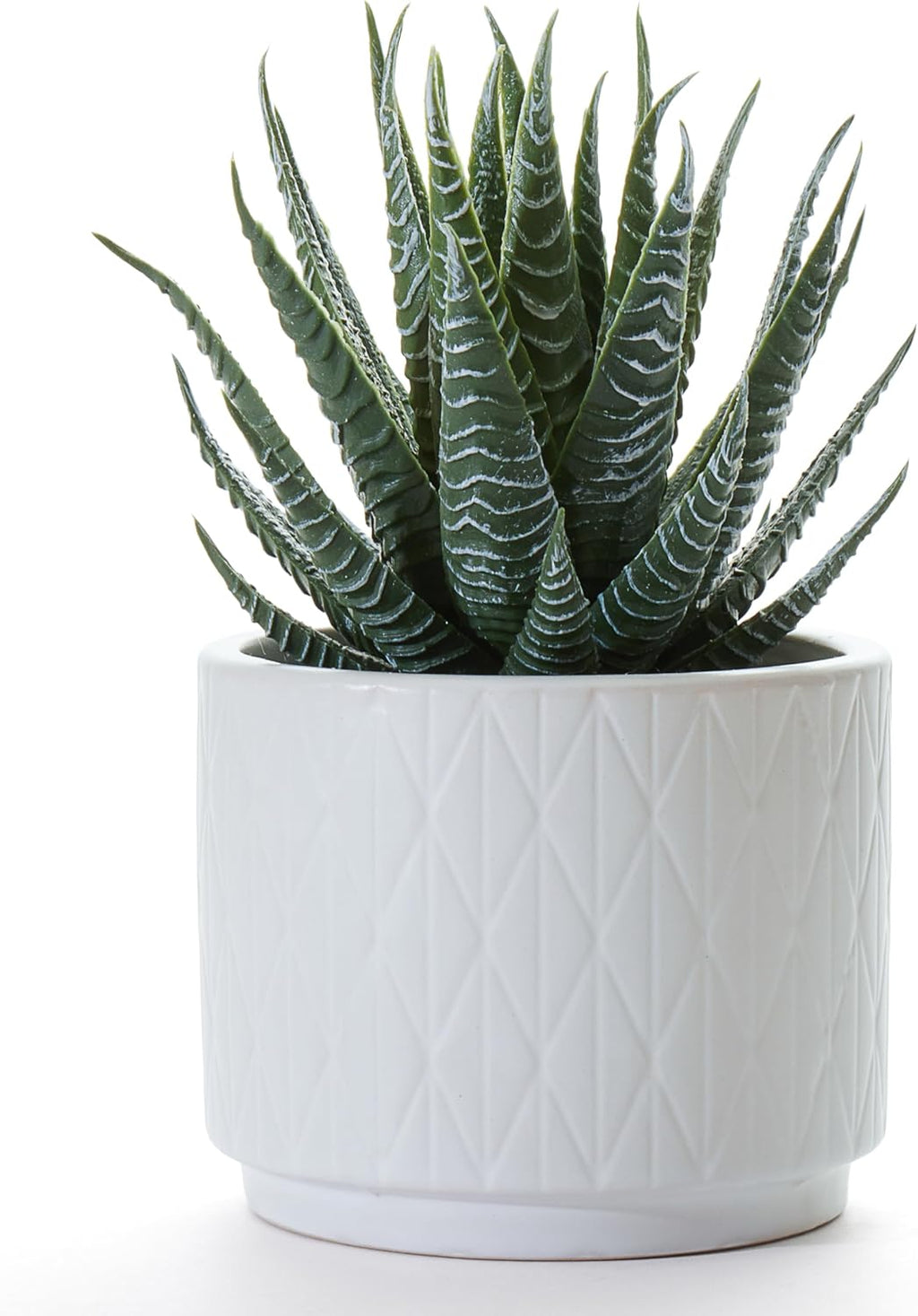 Kurrajong Farmhouse Artificial Succulent Plant in Matte White Ceramic Pot | 7" high Dark Green Aloe Plant | Great as Desk Decor or Bathroom Decor | Beautiful Realistic Faux Succulent