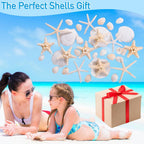 24PCS Sea Shells for Crafts Decoration - Real White Natural 2"-5" Scallop Shells and Starfish Coastal Christmas Craft Supplies, Beach Party, Painting, Easter DIY, Vase,Baking Shells, Birthday Gift