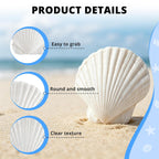 30PCS Natural White Scallop Shells, 2.5-3 Inch Seashells for Craft, Beach Decor, Candle Holder, Home Decorations, Air Plant Holder, Succulent Planter, Fish Tank Ornaments, Wedding Party Supplies